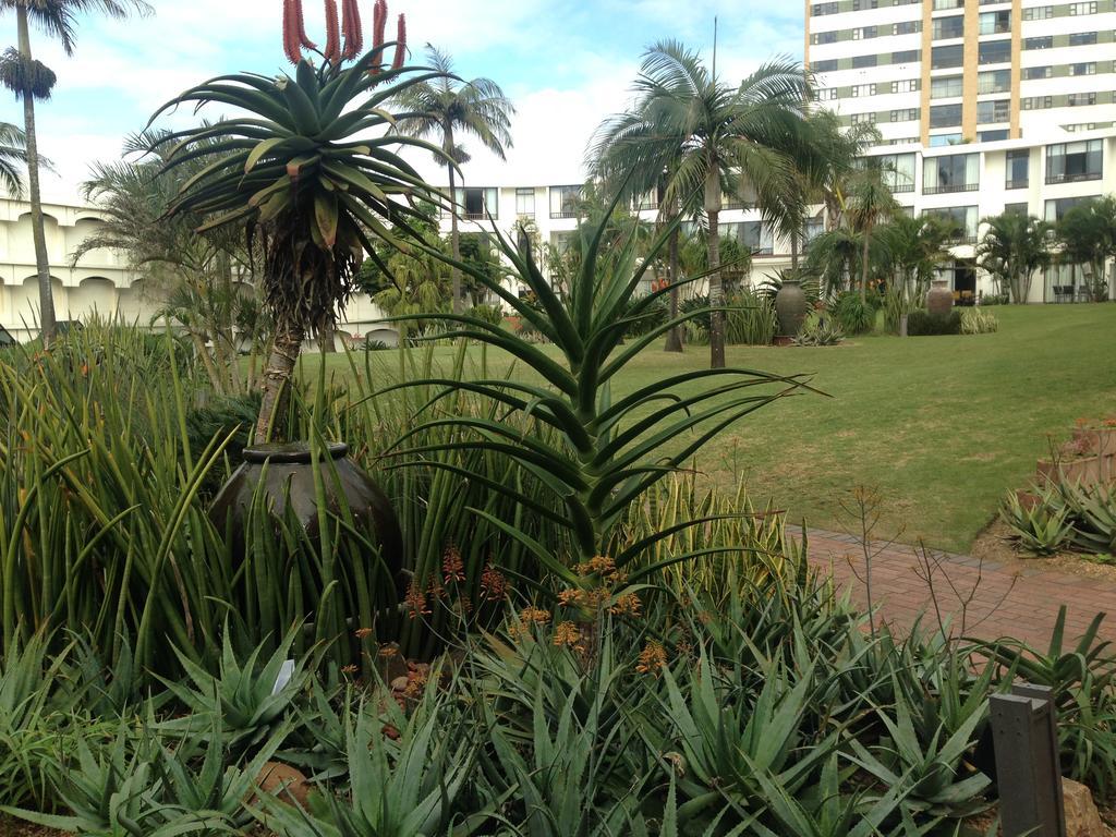 Beachbreak Holiday Letting Durban Exteriör bild